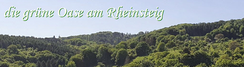 Gr�ne Oase am Rheinsteig